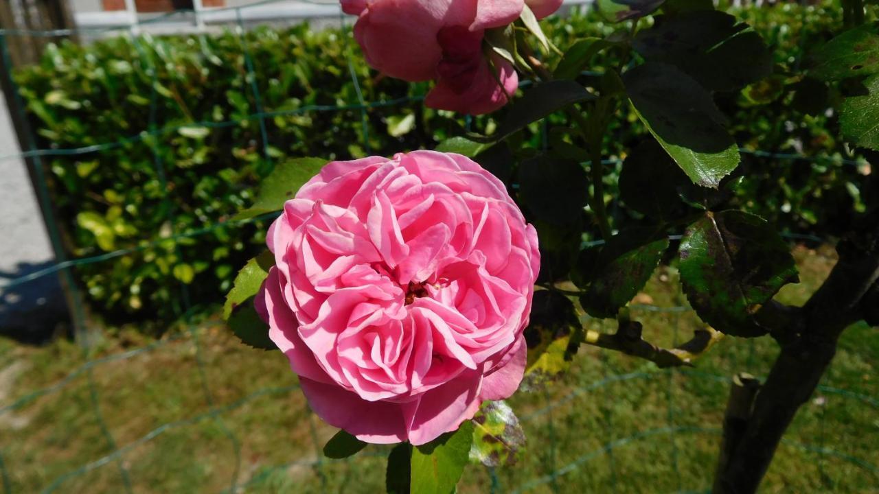 Bed and Breakfast La Cle Des Sens Le Faubourg Экстерьер фото